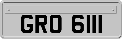 GRO6111