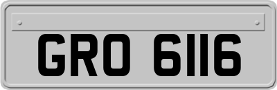 GRO6116