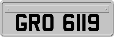 GRO6119