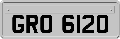 GRO6120