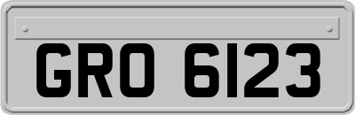 GRO6123