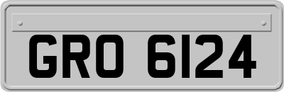 GRO6124