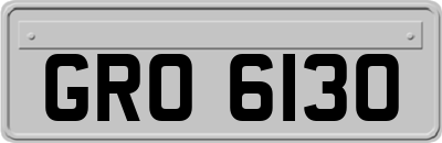 GRO6130