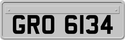 GRO6134