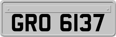 GRO6137