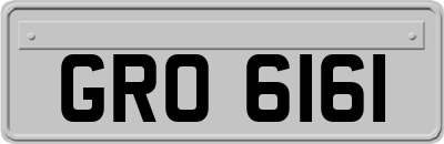 GRO6161