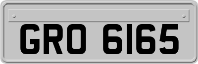 GRO6165