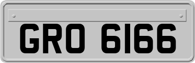 GRO6166