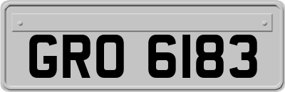 GRO6183