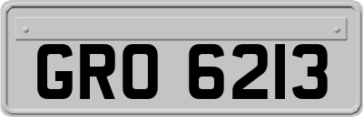 GRO6213