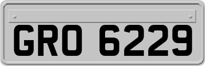 GRO6229