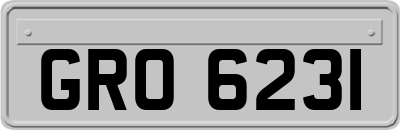 GRO6231