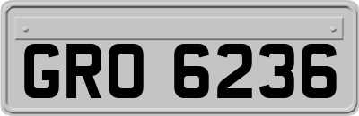 GRO6236