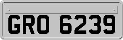GRO6239