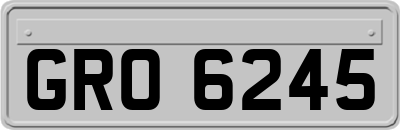 GRO6245