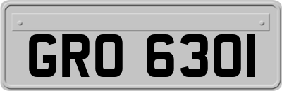 GRO6301