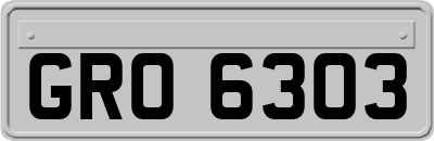 GRO6303