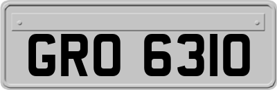 GRO6310