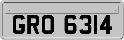 GRO6314