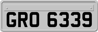 GRO6339