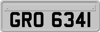 GRO6341