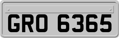 GRO6365