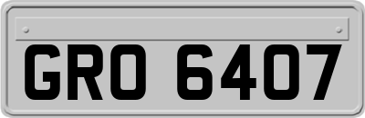 GRO6407