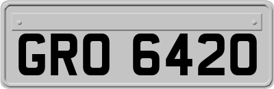 GRO6420