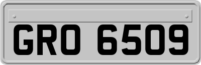 GRO6509