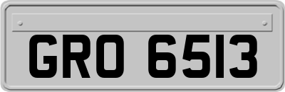 GRO6513