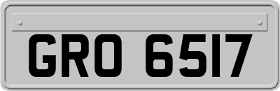 GRO6517