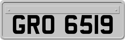 GRO6519