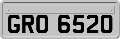 GRO6520