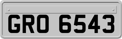 GRO6543