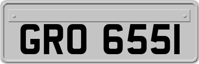 GRO6551