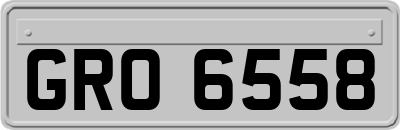 GRO6558