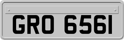 GRO6561