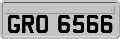 GRO6566