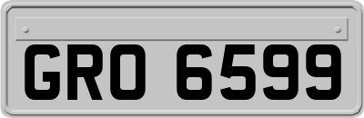 GRO6599