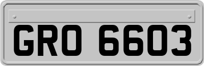 GRO6603