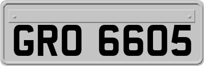 GRO6605