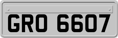 GRO6607