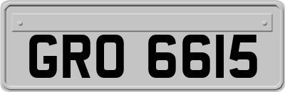 GRO6615