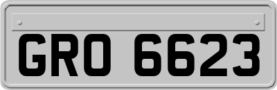 GRO6623