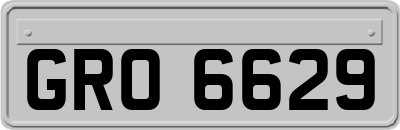 GRO6629