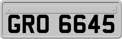 GRO6645