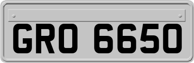 GRO6650