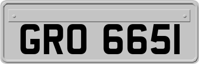 GRO6651