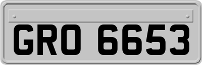 GRO6653