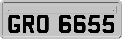 GRO6655